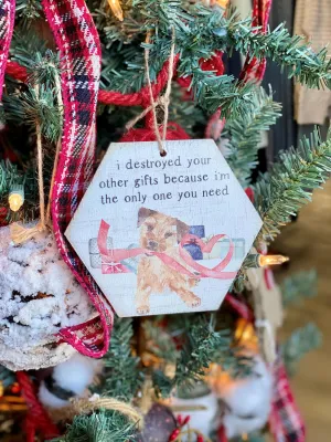 Distroyed Your Gifts Ornament