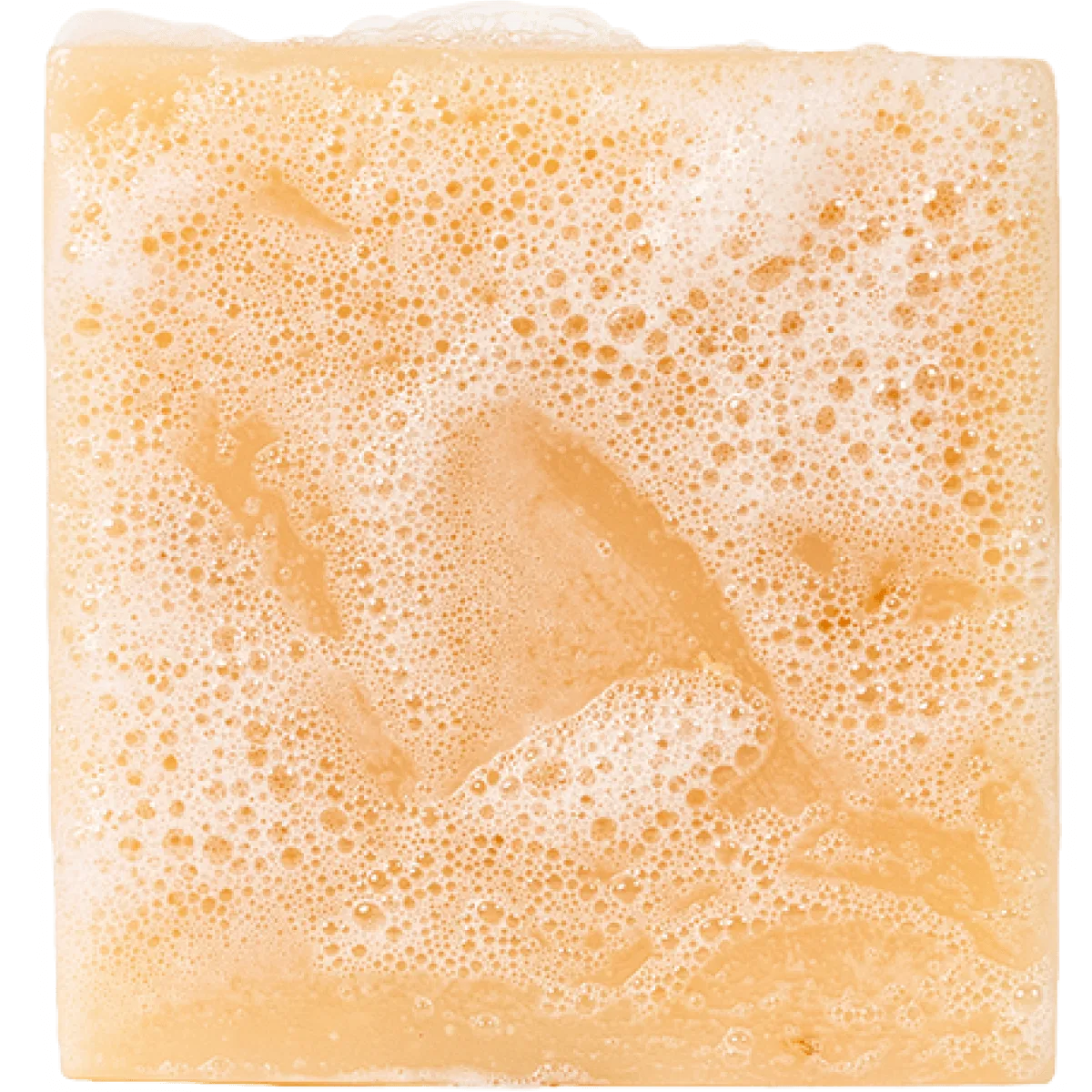 DR. SQUATCH BAR SOAP - DEEP SEA GOATS MILK