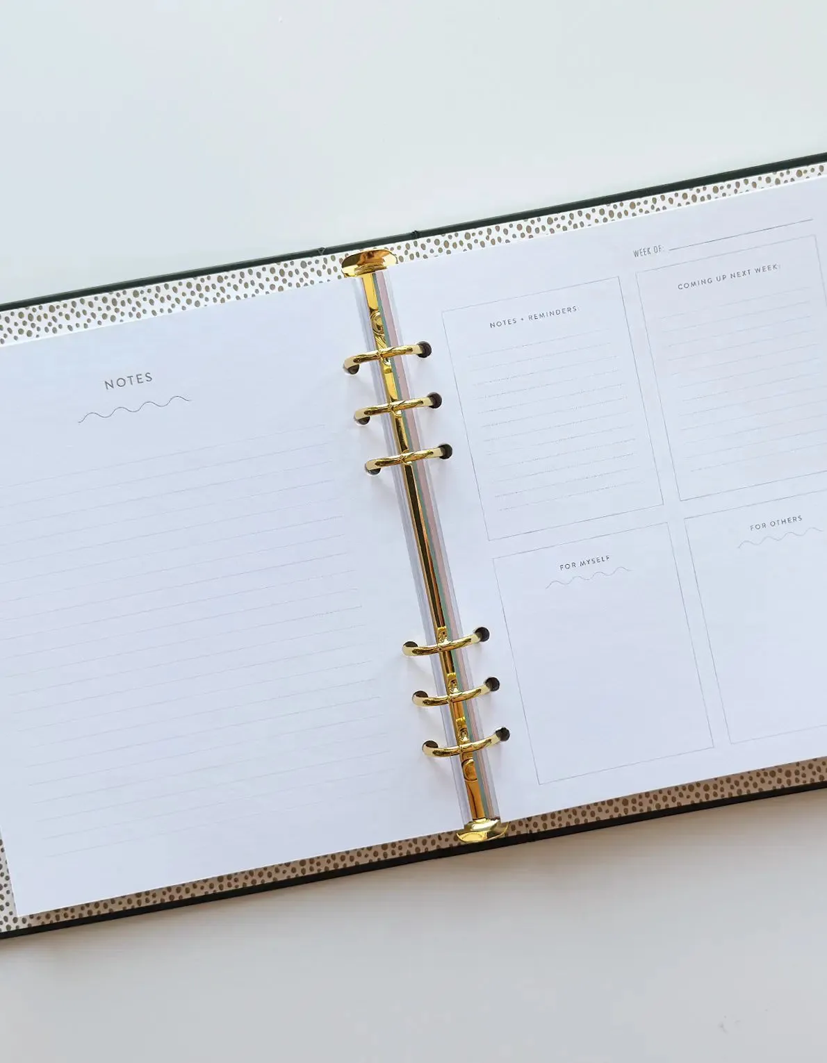 Great Year Refillable Perpetual Planner