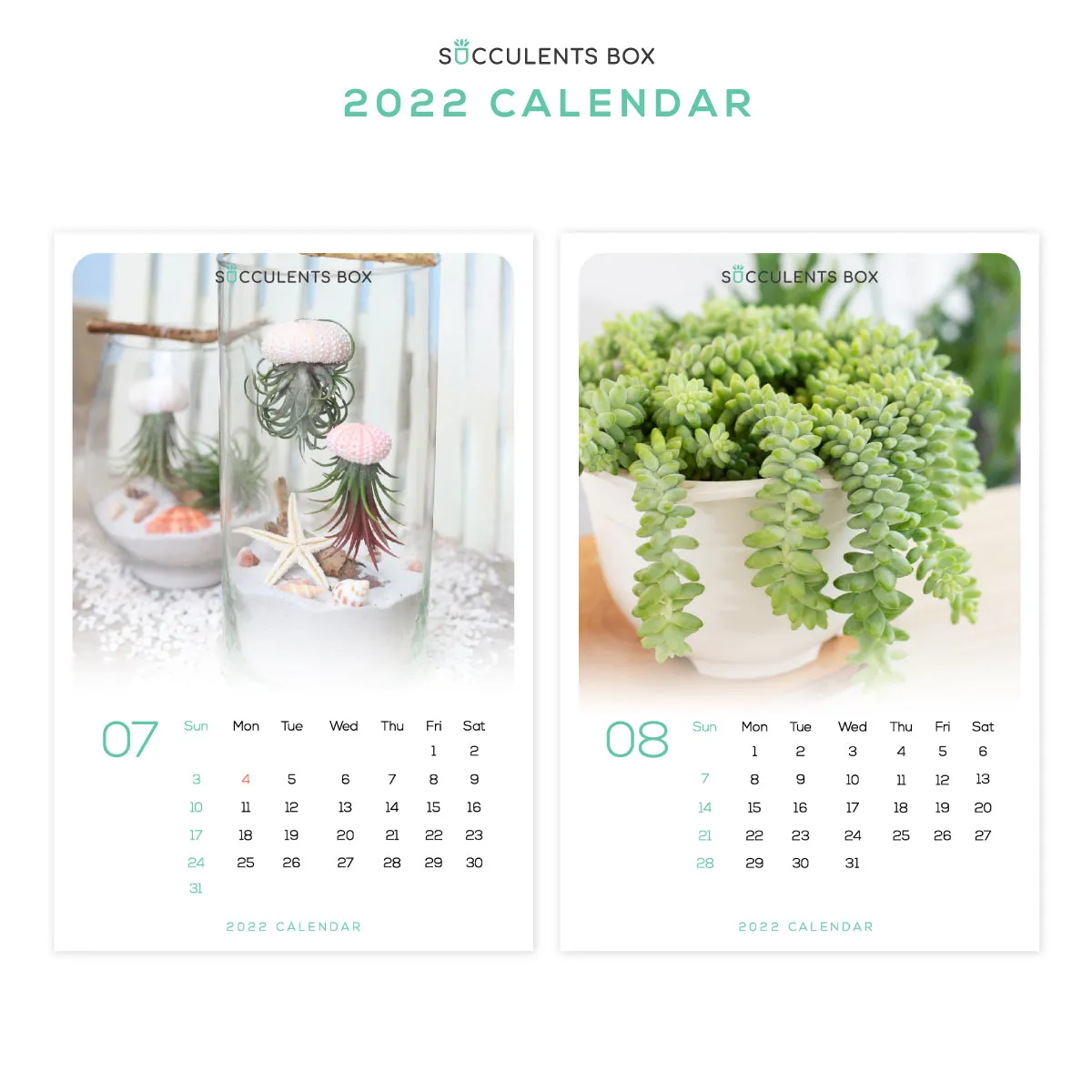 Printable: 2022 Calendar